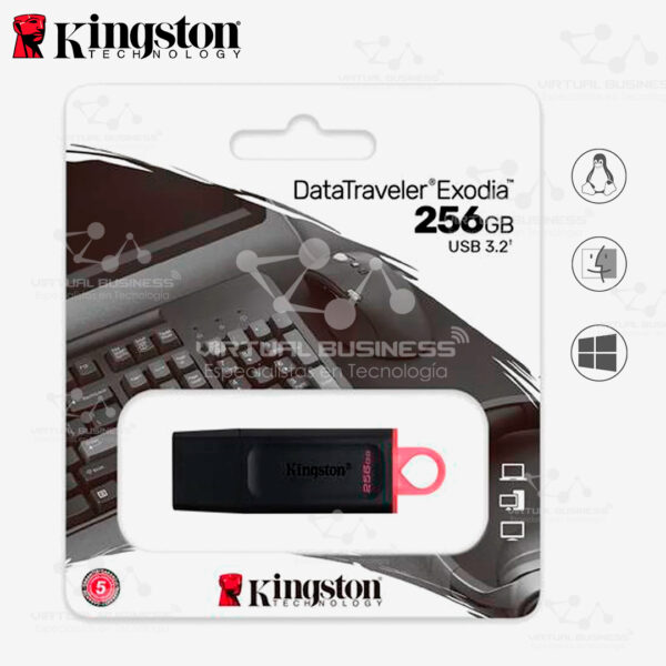 MEMORIA FLASH USB KINGSTON EXODIA 256GB